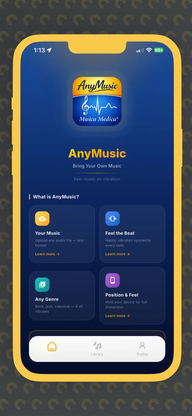 AnyMusic full home screen overview with all four feature cards visible